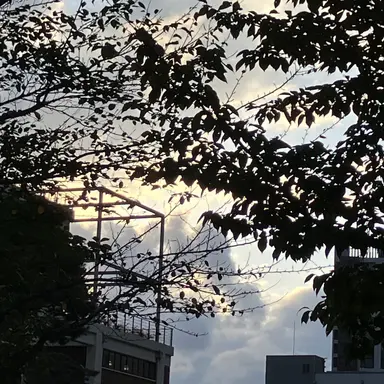 Profile image of 백참