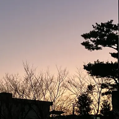 Profile image of 봉도진