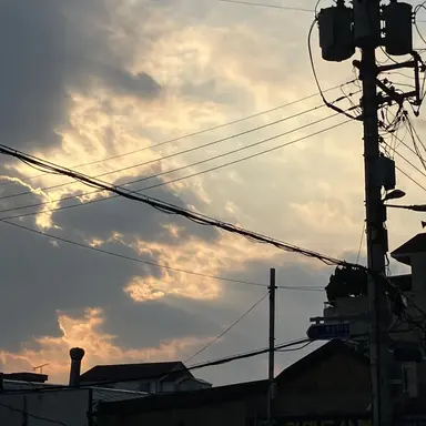 Profile image of 송설