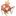 잉어킹