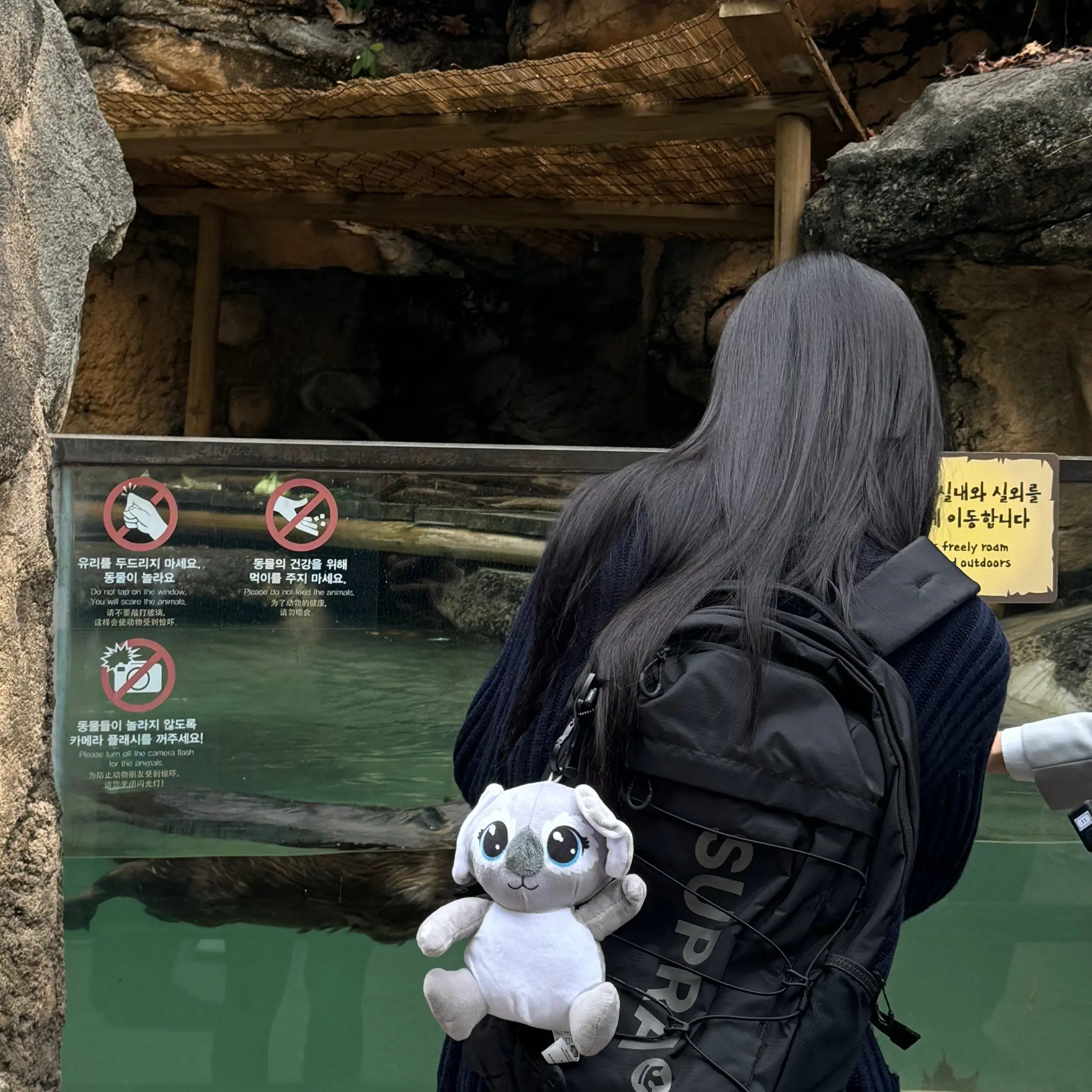 BeigeEdit8634의 이채영