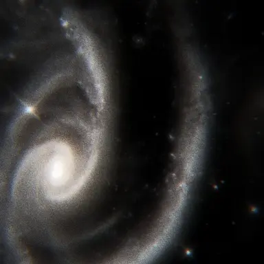 Profile image of 카우시스 쏜