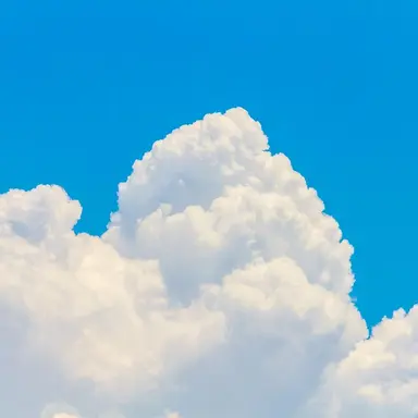Profile image of イ・ドハ