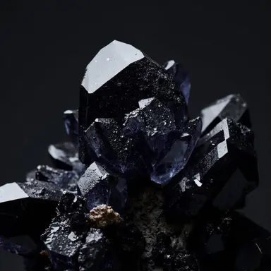 Profile image of Onyx
