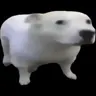 Profile image of Noah