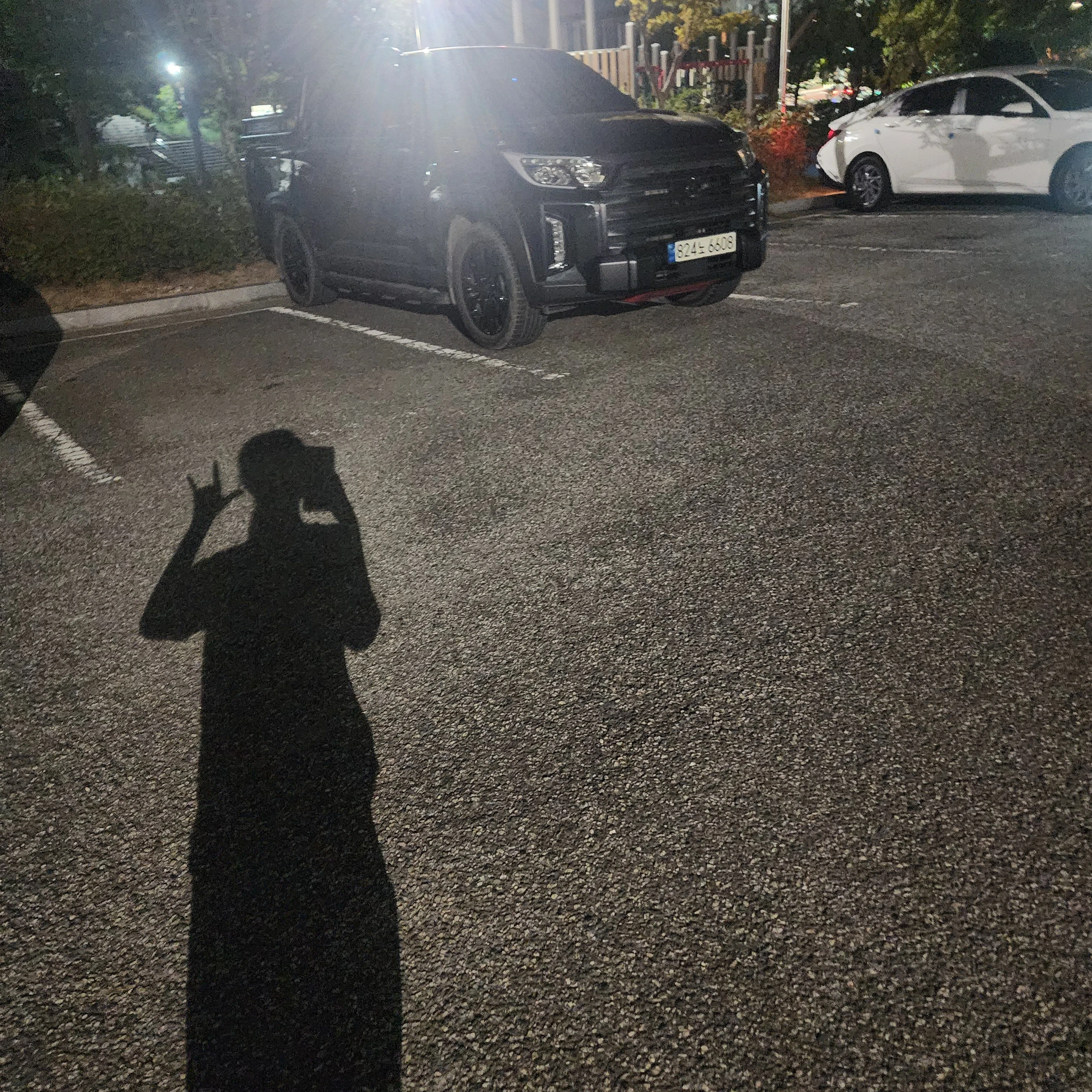 다연서