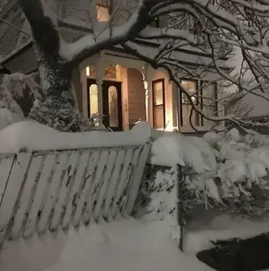 Profile image of Leo