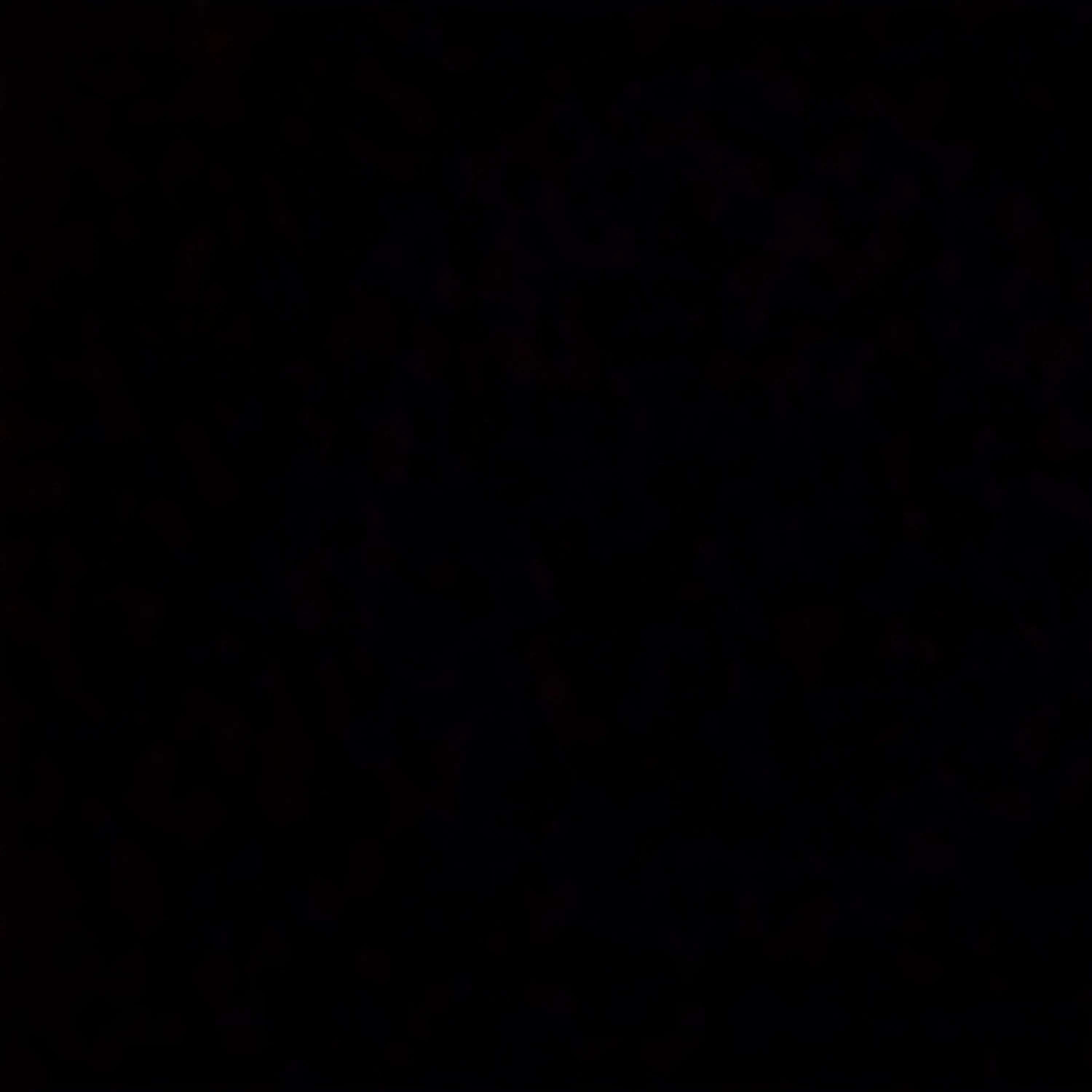 dodjw의 엄마가 이세렙 대장?!