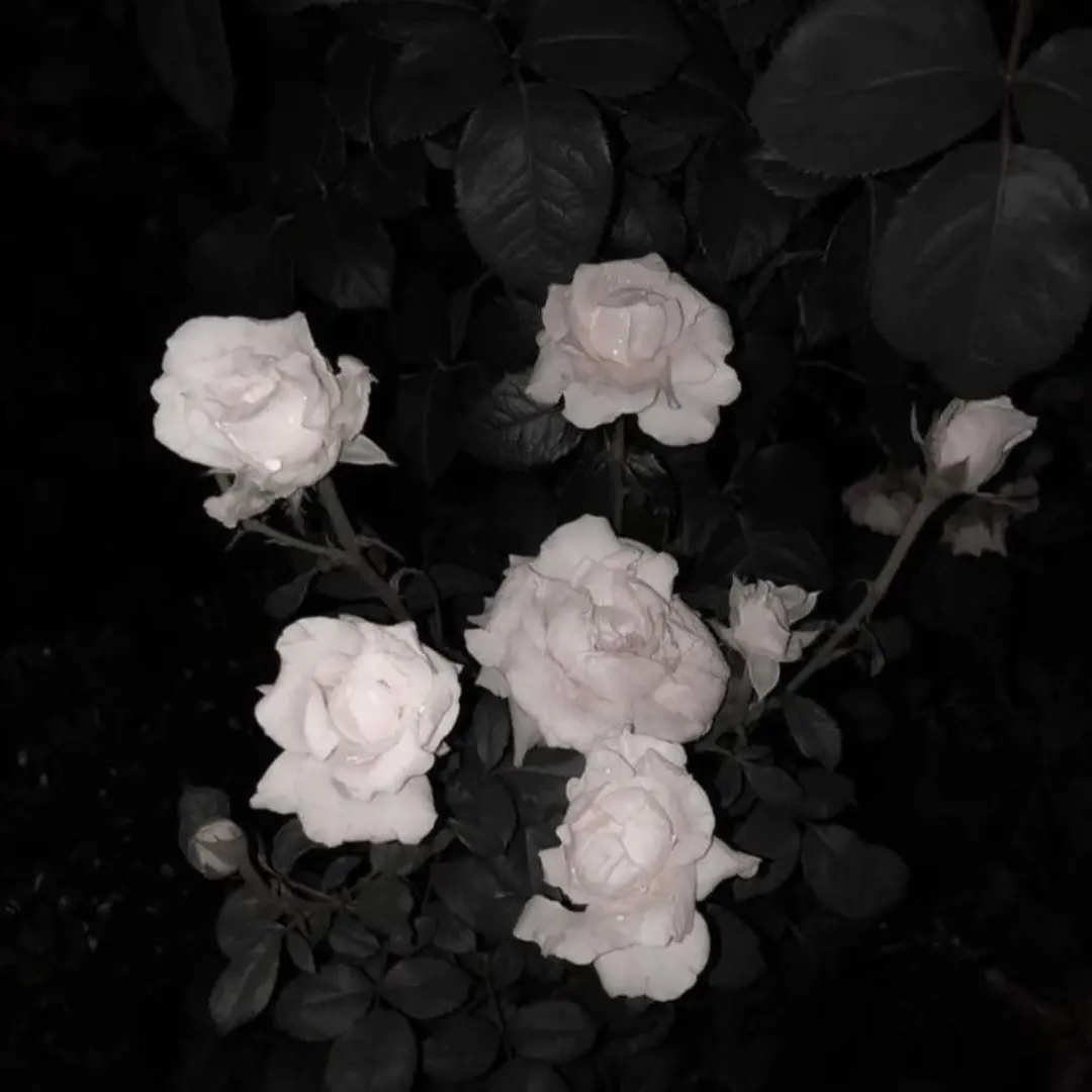RancidFear9164의 그 분이 저보다 중요한가요?