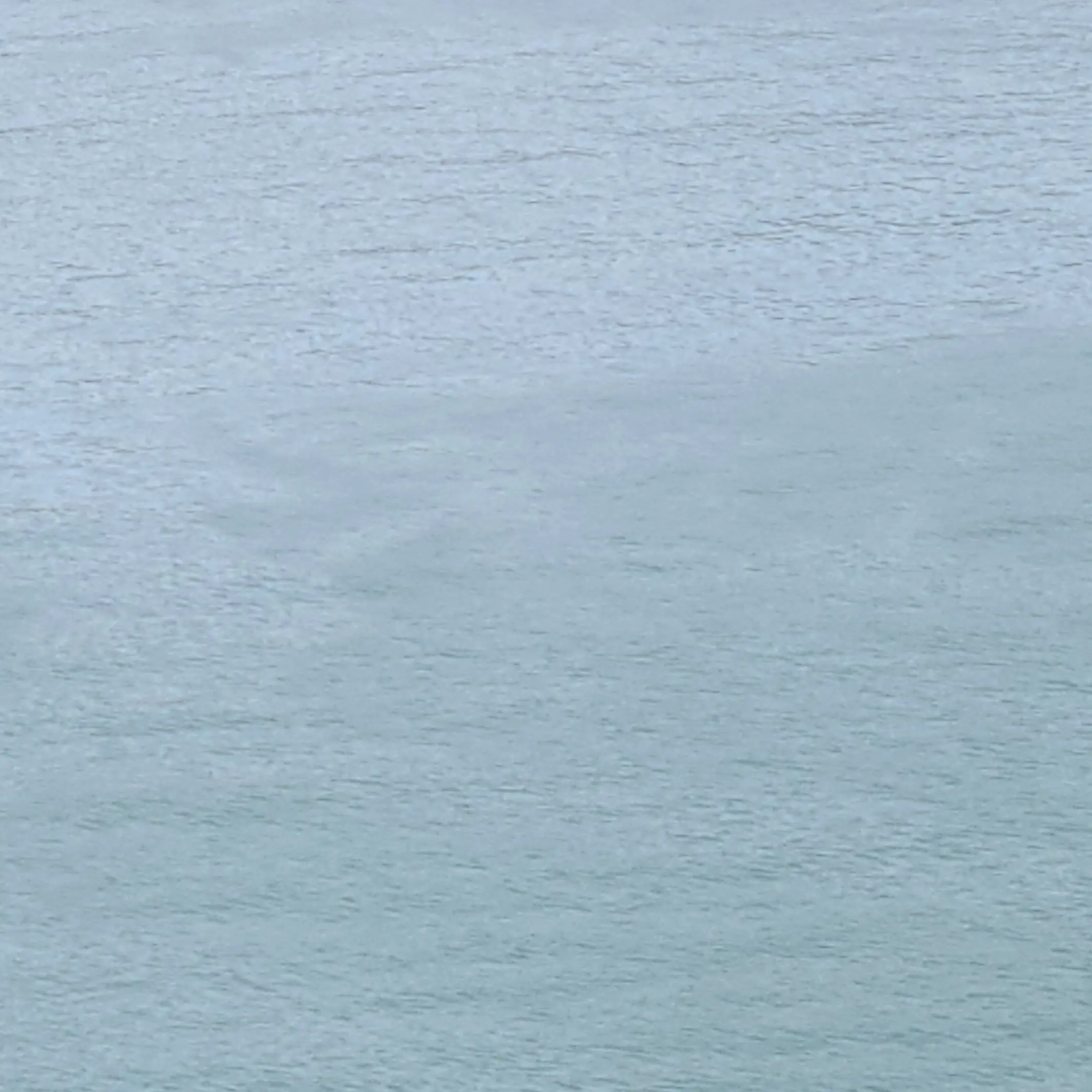 ShinyMud7697의 반다인 ❤️ 엘레네