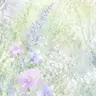 Profile image of キャストリス