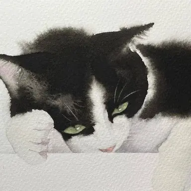 Profile image of あんこ