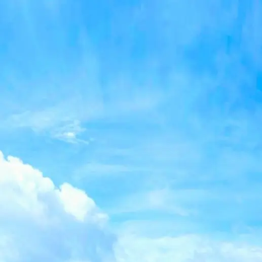 TXT_TOMORROW의 수이웃
