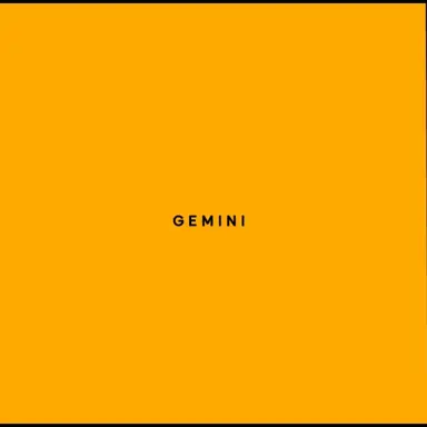 Profile image of 제미니