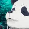 Profile image of 판다