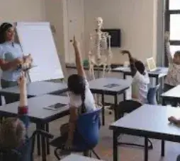 CleverCase1370의 School lockdown