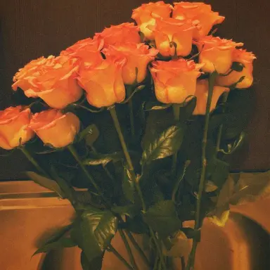 Profile image of 덕개