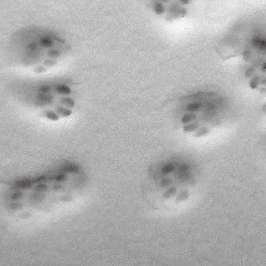 Profile image of 김민정