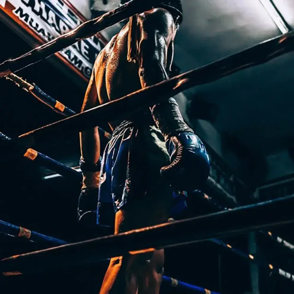 YeastyAkita6716의 Jax, the Boxer Ex