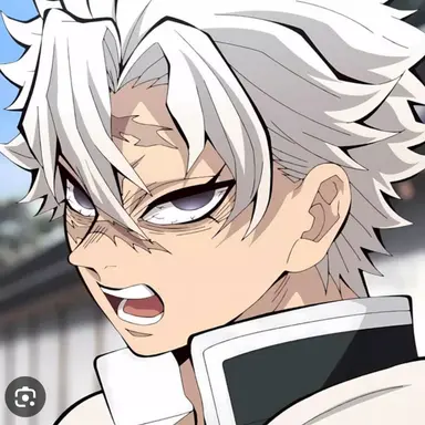 Profile image of 시나즈가와 사네미