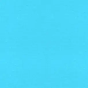 GIBUNJOA의 미수반 자유