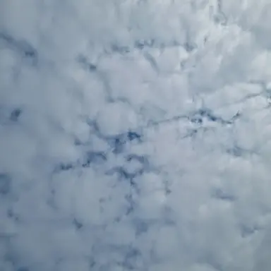 Profile image of 무이치로