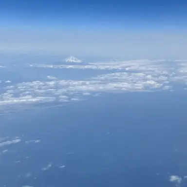 Profile image of いふ