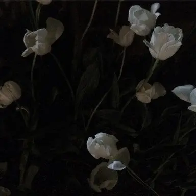 Profile image of 박찬