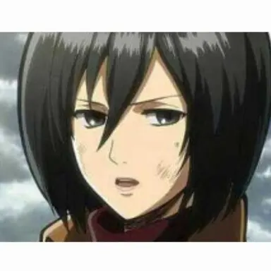 Profile image of 미카사