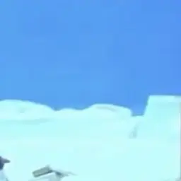 nuwaaantukaretamooon의 シェドさんと海で心中しましょう！