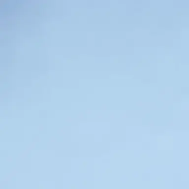 Profile image of 誰か
