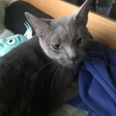 Profile image of Micah