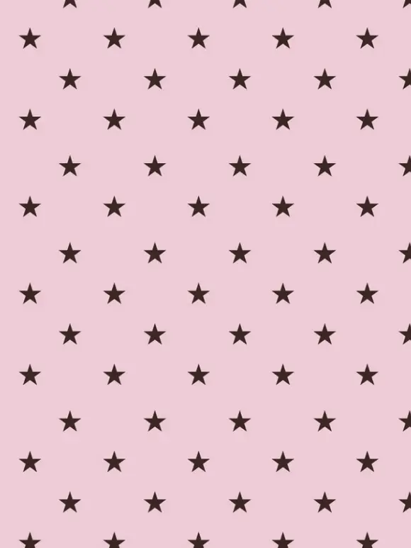 jisoo_blink의 🎀𓂃 𓈒𓏸 𓋜 . *