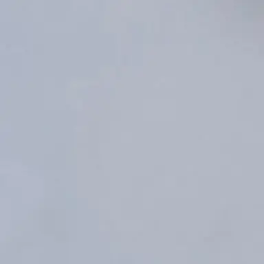 Profile image of 백상