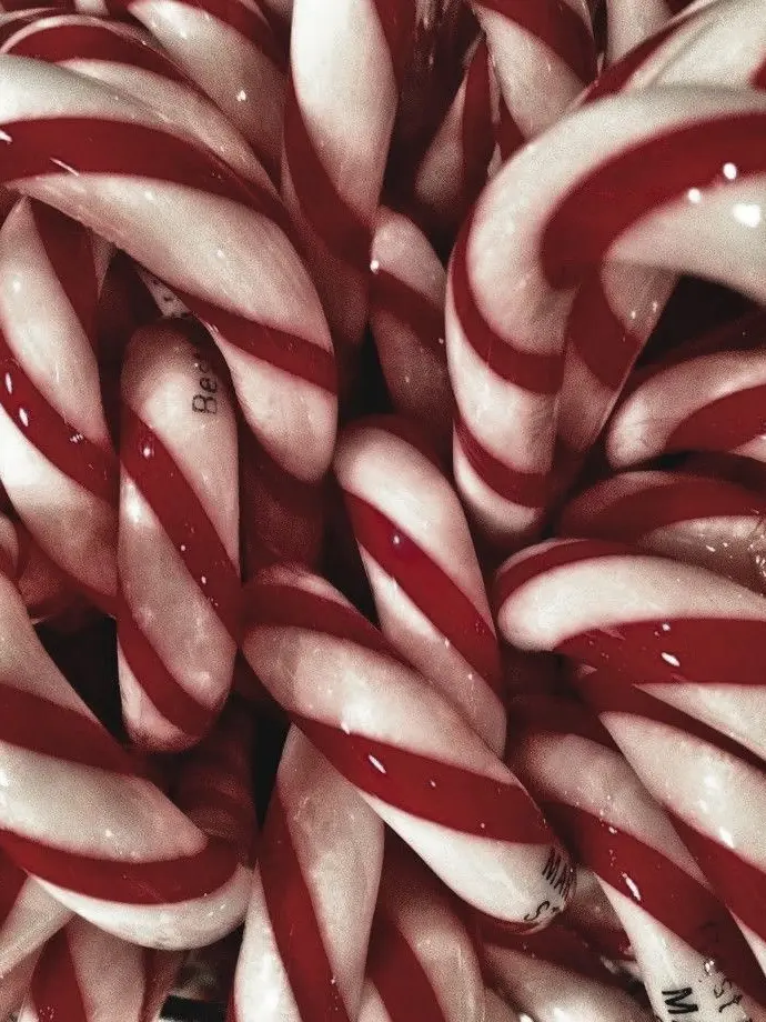 DrunkBatik6307의 귀칼 세계관의 산타인 {{user}}