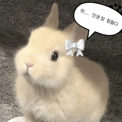 LoyalSlug4988의 김토끼