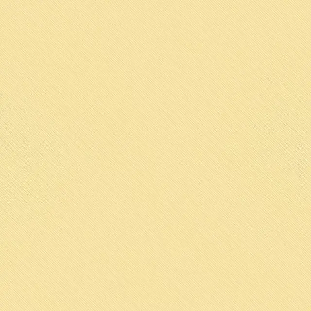 Shfusv0801x의 チャンビン