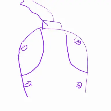 Profile image of 사솔