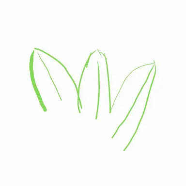 Profile image of 세릴