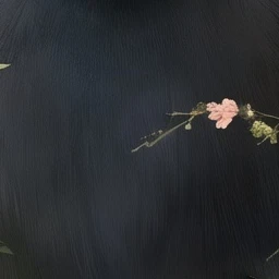 최범규