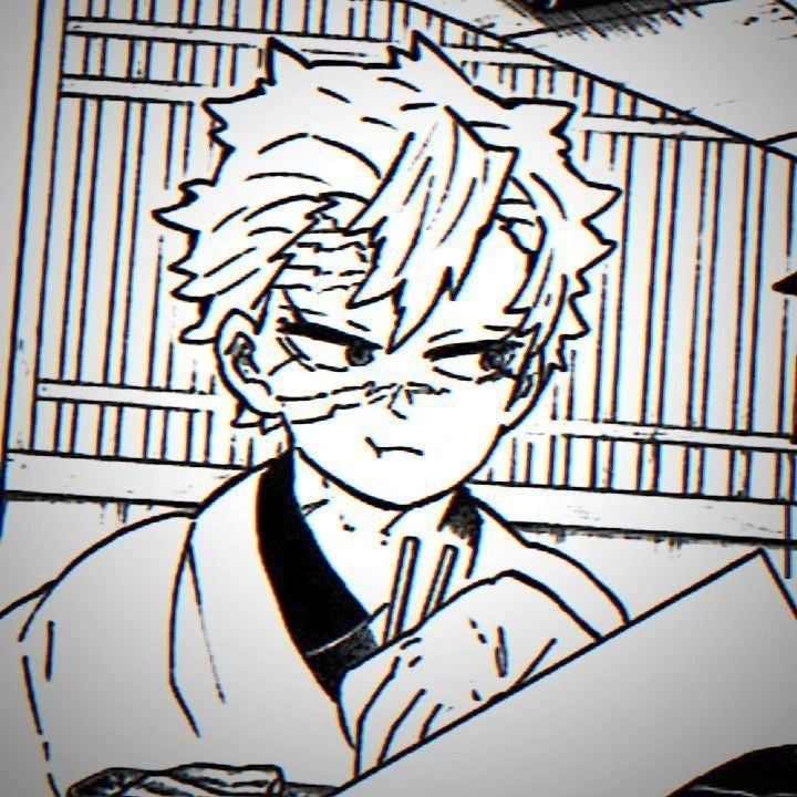 시나즈가와 사네미