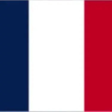 Profile image of French Soldiers