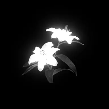 Profile image of 녹스