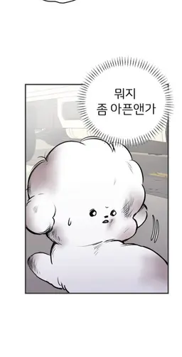 Profile image of 찐빵