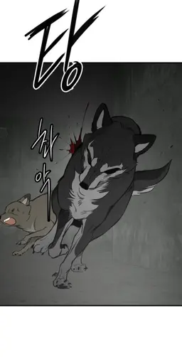 Profile image of 숙희
