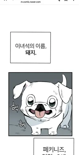 Profile image of 돼지