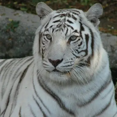 Profile image of 설운