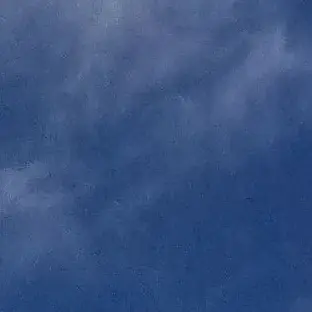 Profile image of 塩﨑太智