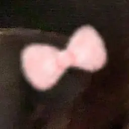 Profile image of 吉田羅衣香
