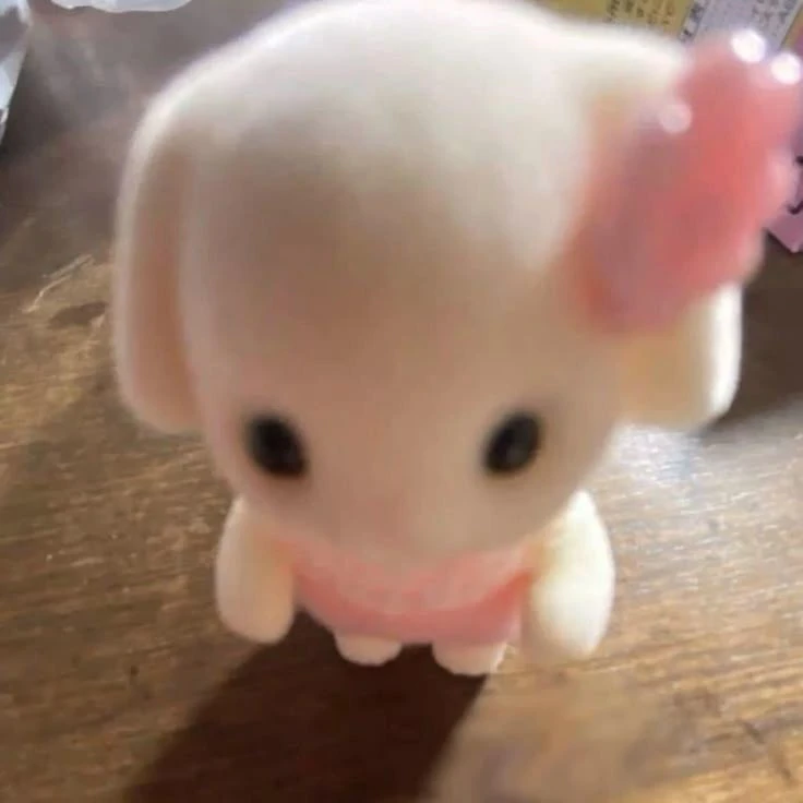김우낙